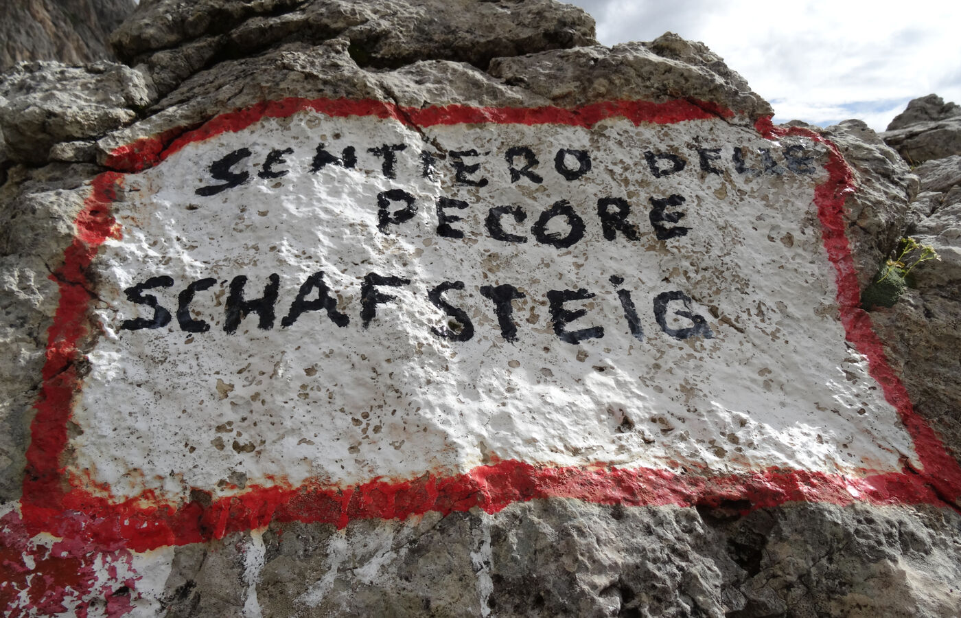 Schafsteig am Rosengarten