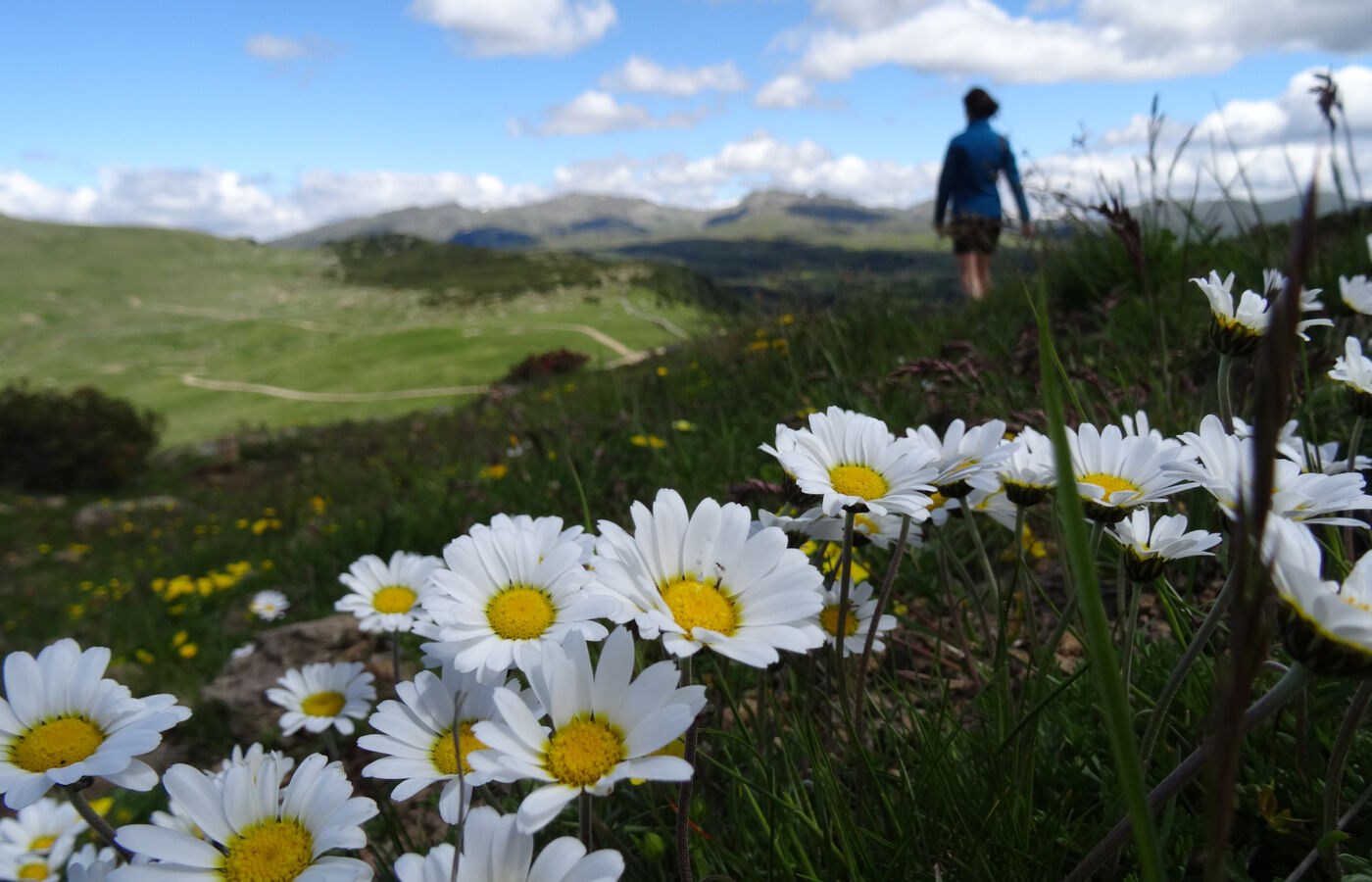 Rittnerhorn Promenadenweg zur Feltuner Hütte 