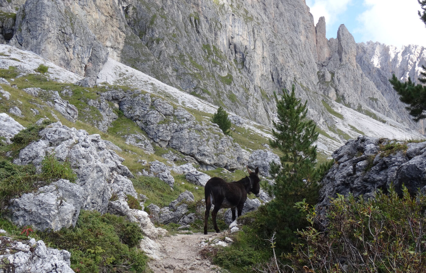 Der Cisles-Höhenweg in Gröden – St. Christina 