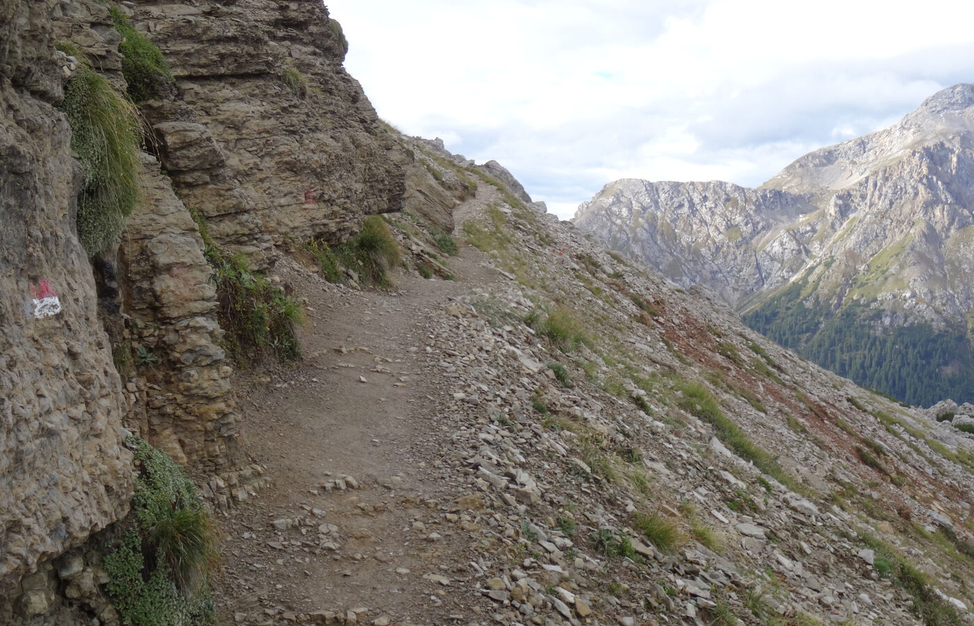 Schafsteig am Rosengarten