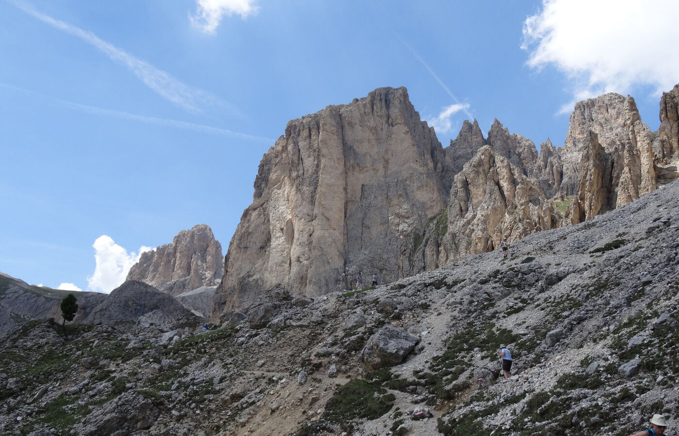 Schafsteig am Rosengarten