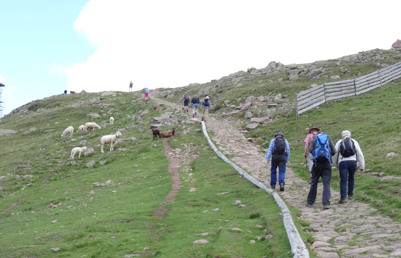 Rittnerhorn Promenadenweg zur Feltuner Hütte 