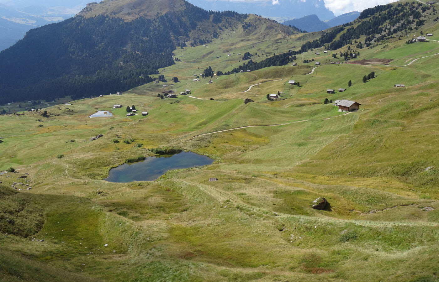 Der Cisles-Höhenweg in Gröden – St. Christina 