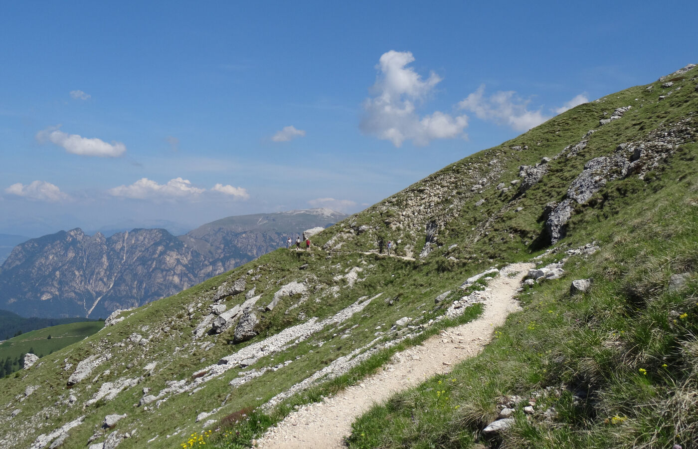 Hirzelweg im Rosengarten