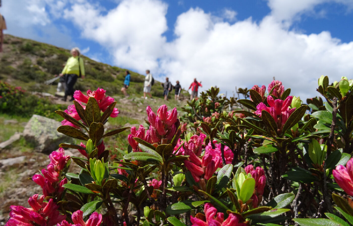 Rittnerhorn nach Villanders 