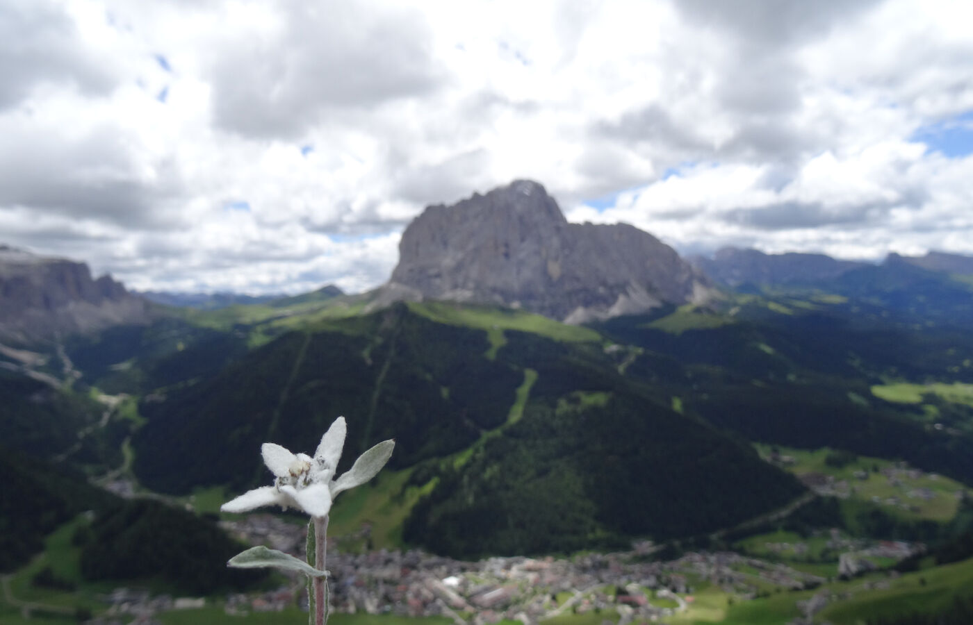 Regensburger und Steviahütte im Grödnertal 