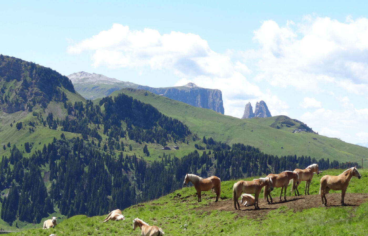 Friedrich-August-Weg - vom Sellajoch über die Plattkofelhütte zur Seiser Alm - Saltria 